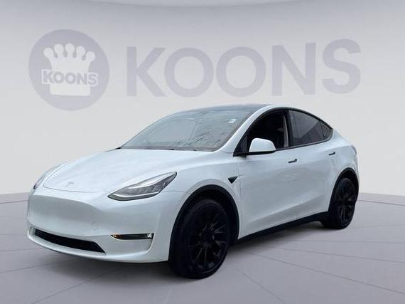 TESLA MODEL Y 2021 5YJYGDEE6MF295008 image